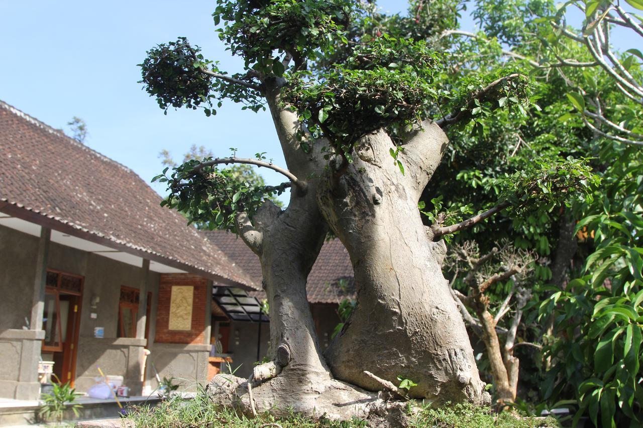 فندق Jerogadung House أوبود المظهر الخارجي الصورة
