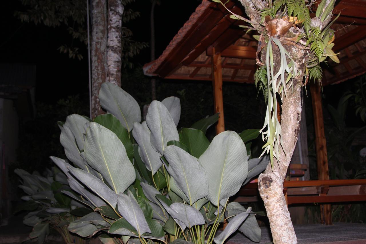 فندق Jerogadung House أوبود المظهر الخارجي الصورة